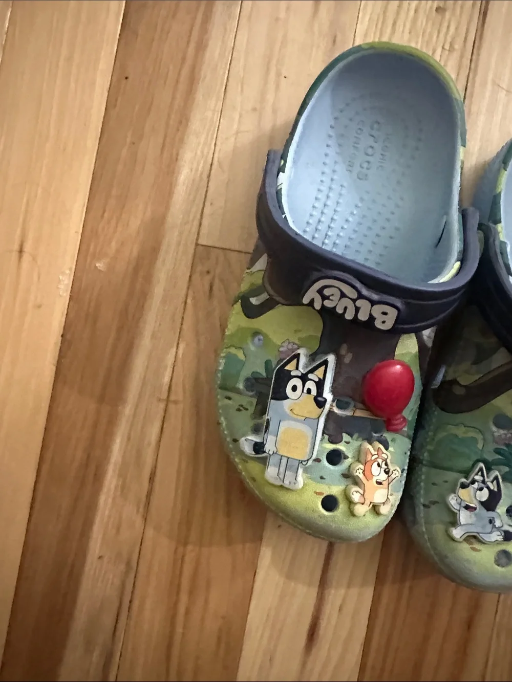 Bluey KidsGreen & Blue Lightweight Slip-On crocs size C12